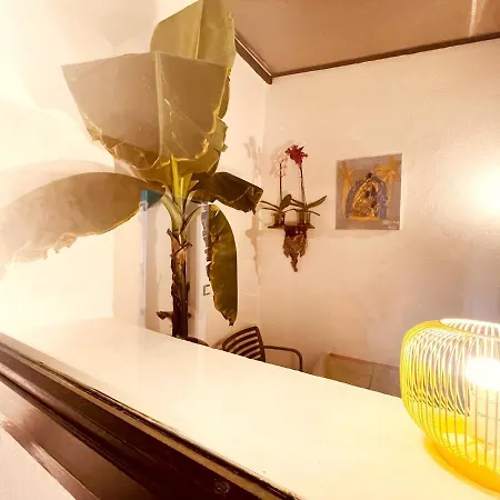 Casa Les Bambous 님