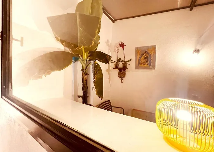 Casa Les Bambous Nîmes